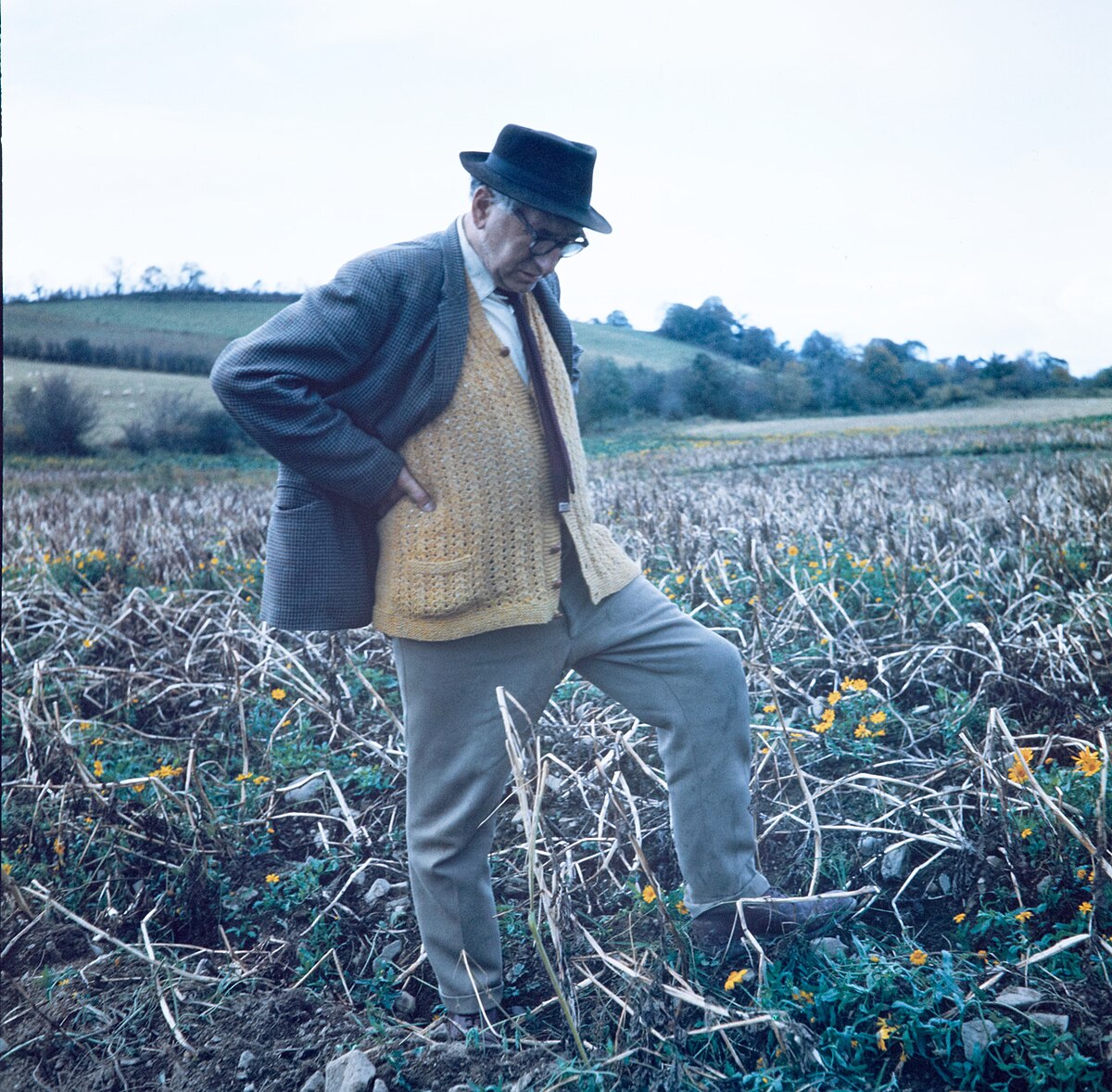 Patrick Kavanagh: The Poetry of Rural Ireland in Linen and Tweed